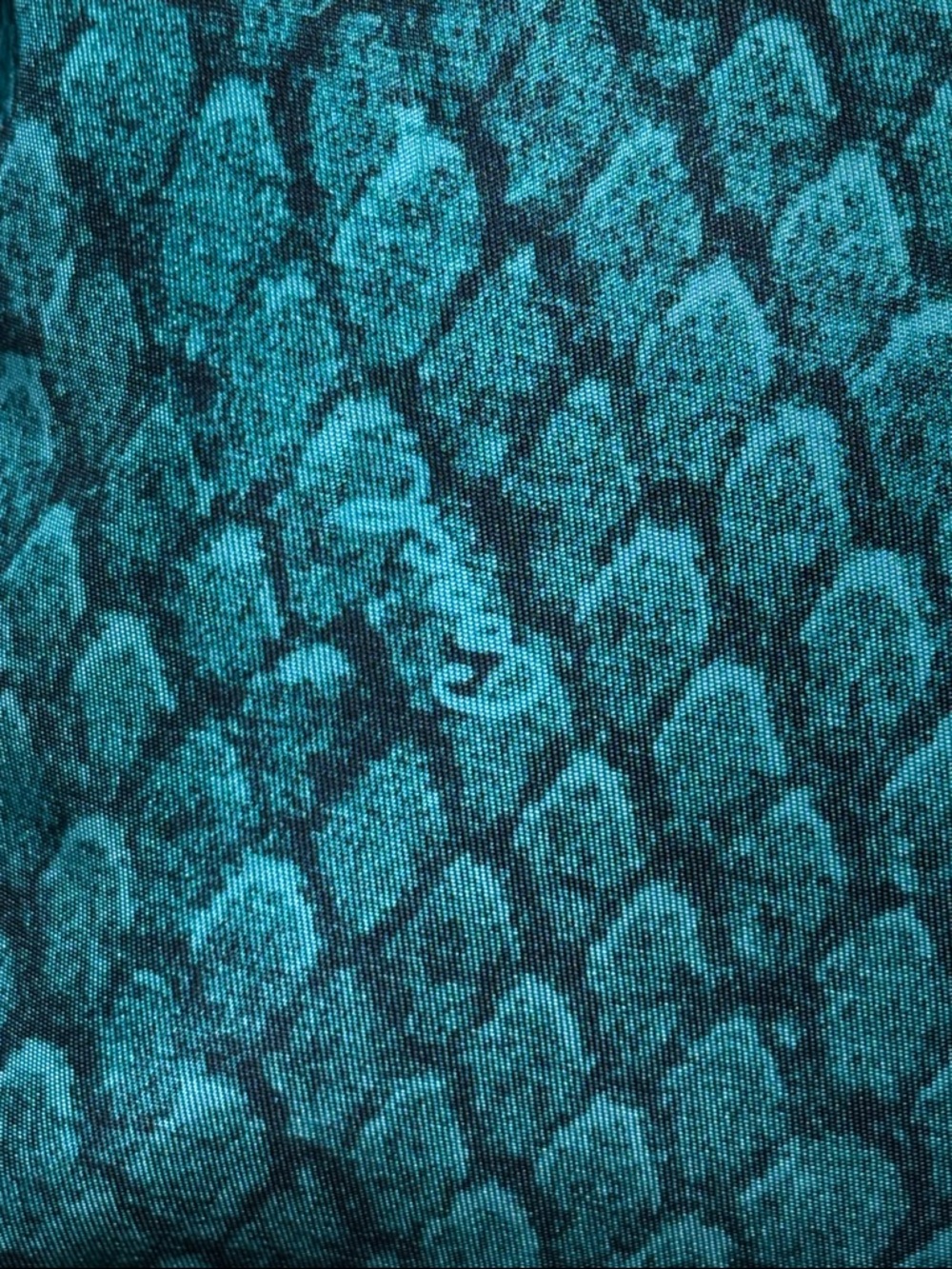 Coach F31506 Green Blue Snakeskin Print Tote Shoulder Bag COA - Picture 6 of 8